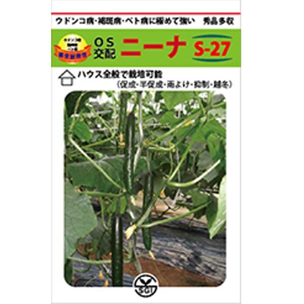 野菜の種/種子　ニーナ　S-27 　350粒　キュウリ　きゅうり　（メール便発送/大袋）