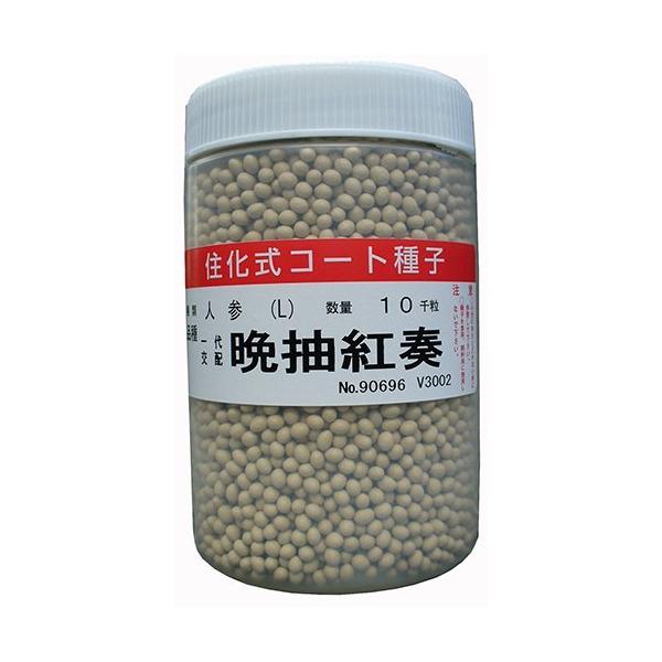 ؂̎/q@ӒgtEjW ɂ񂶂 @R[gq@1@igc