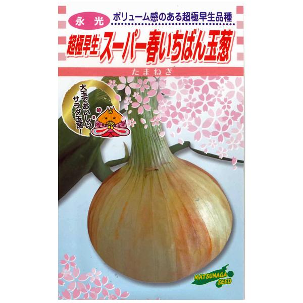 野菜の種 種子 超極早生 スーパー春いちばん玉葱 タマネギ 3ml 松永種苗 メール便発送 Vg ベジタブルガーデン ハラダ 通販 Yahoo ショッピング