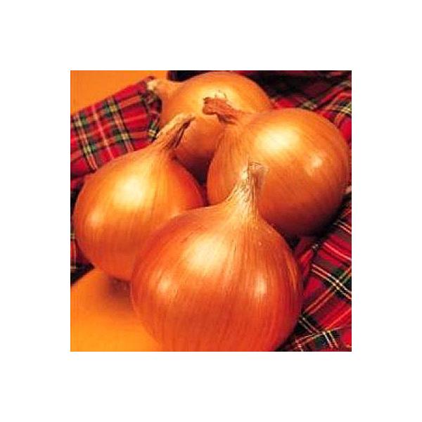 ؂̎/q OEPE^}lM @ybgq@10,000@2LTCYi܁j^LCcy7{z