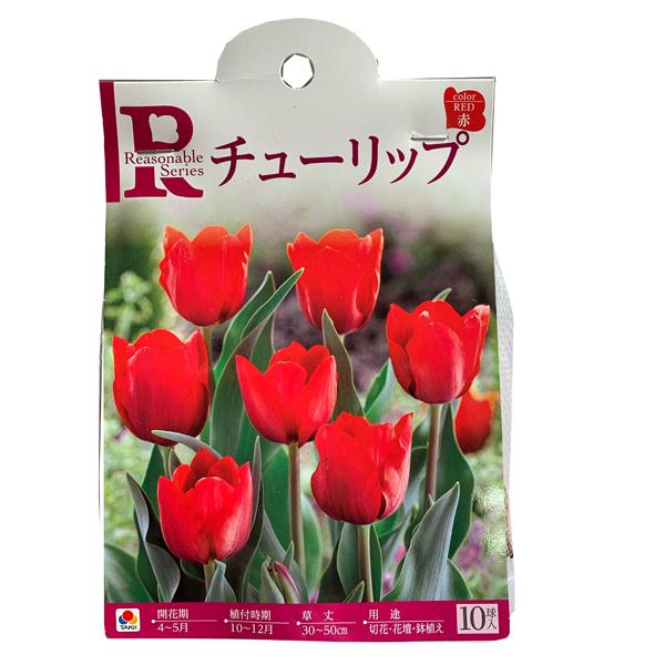 ԁE @`[bv []@10 [YiuKo[V[YmHAn@^LCc@