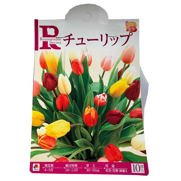 ԁE @`[bv []@10 [YiuKo[V[YmHAn@^LCc@