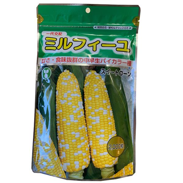 ؂̎/q ~tB[EƂ낱EXC[gR[ 2000i)