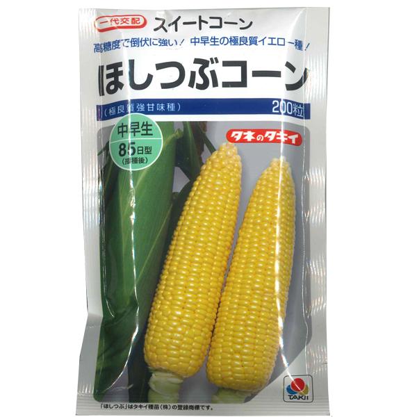 ؂̎/q قԃR[EXC[gR[@Ƃ낱 200i[֔j^LCcy12{蔭z