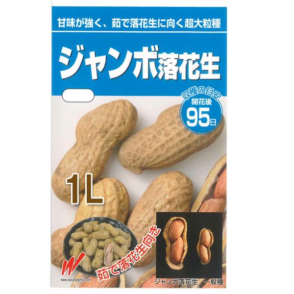 期間限定！30％OFF！￥13,100→￥9,170】野菜・種/苗 ジャンボ