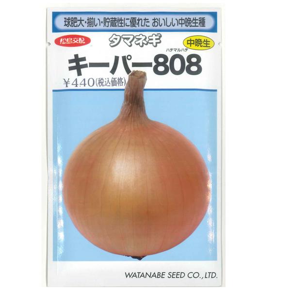 野菜の種/種子 キーパー808・タマネギ 玉ねぎ 玉葱 2.8ml （メール便