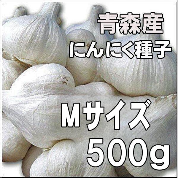 国産 青森県産 ニンニク種子 にんにく種子 福地ホワイト Mサイズ(約9