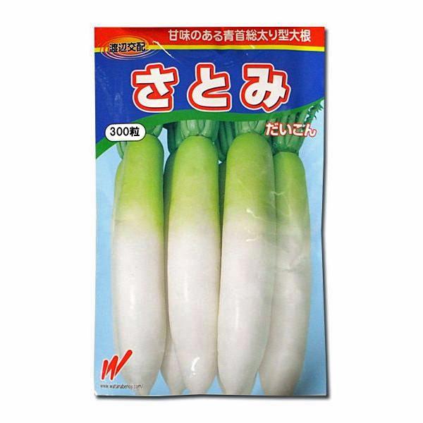 野菜の種/種子 さとみ・だいこん ダイコン 大根 300粒 （メール便発送