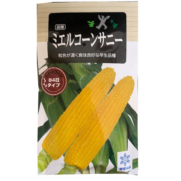 トウモロコシ出品 トウモロコシ/ブラック/トルティーヤ用【有機種子・固定種】 - e-種や
