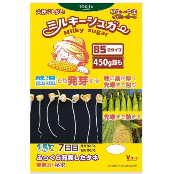 ミルキーシュガー85 2000粒（とうもろこしの種）4袋 野菜の種/種子 ミルキーシュガー 85日タイプ・とうもろこし