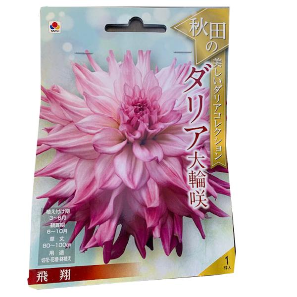 花・球根 秋田のダリア大輪咲・飛翔 タキイ種苗 : ベジタブルガーデン