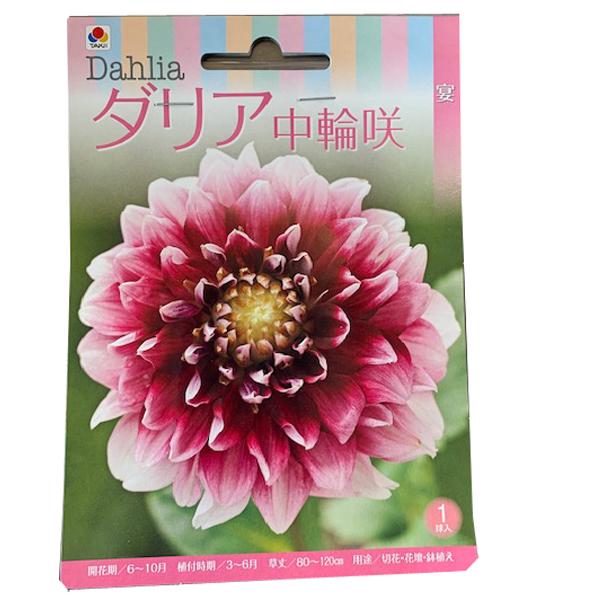 花・球根 ダリア中輪咲 切花用・宴 切り花用 1球入 タキイ種苗
