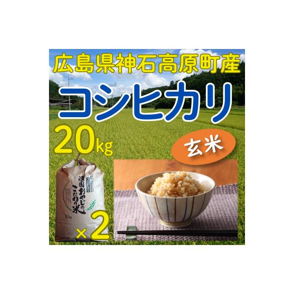 コシヒカリ玄米20kg(10kg×2) 令和7年 神石高原町産 粘りと甘さのバランスが絶妙！