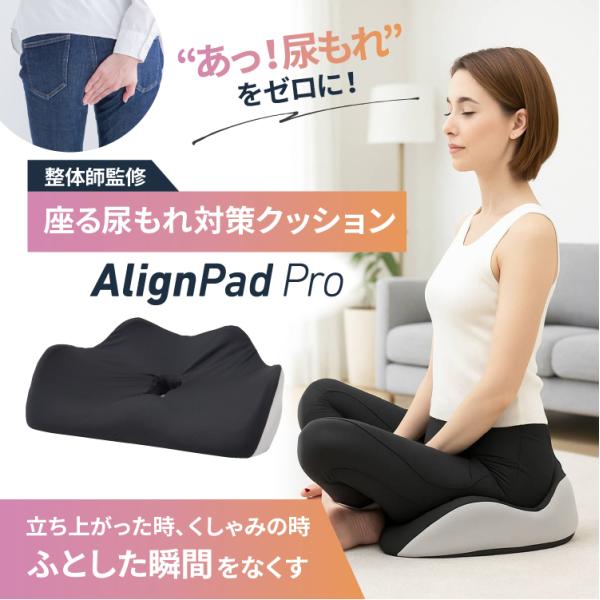 商品名 Align Pad Pro アラインパッドプロ商品サイズ 幅440mm×奥行360mm×高さ135mm　重量：約600g素材・品質 カバー／スパンテックス生地　ポリエステル85％ ポリウレタン15％本体／低反発モールドウレタン滑り止...