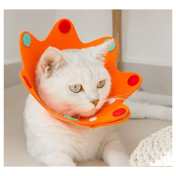 60%OFFセール ティミーハウス TimmyHouse ペット用 エリザベスカラー 軽量 調整も可能 猫 犬 術後 傷口保護 オレンジ 5101 SALE
