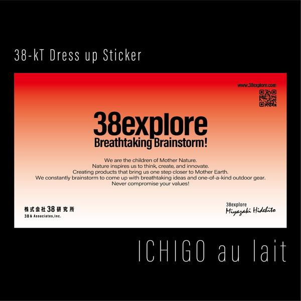 あすつく対応 ミヤエクスプローラー 38explore 38-kT Dress up