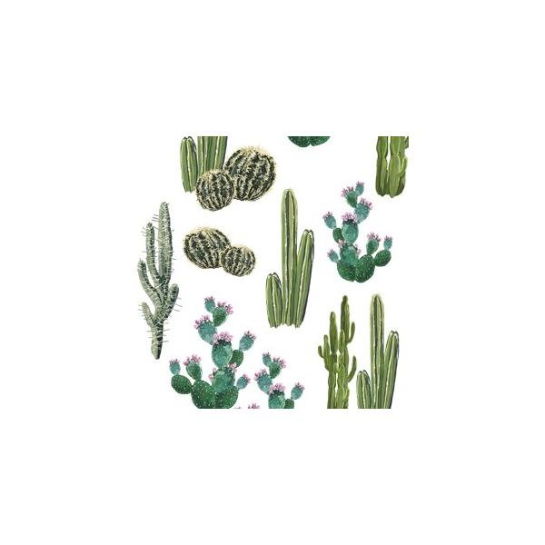 『商品情報』規格：A4印刷範囲：縦18cm×横26cm推奨焼成温度：800度サボテンの大きさ：最小約3.0cm〜最大約7.5cm『商品紹介』インテリアでも人気の高い「サボテン」を、バリエーション豊かに、水彩画タッチで描きました。形も様々な「...