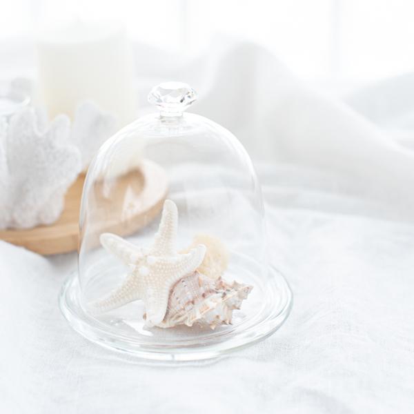 ケーキスタンド ケーキコンポート テーブルウェア カフェ風 おしゃれ ミニガラスドーム 受け皿付き 16 0616 Mgd Victoria Design 通販 Yahoo ショッピング