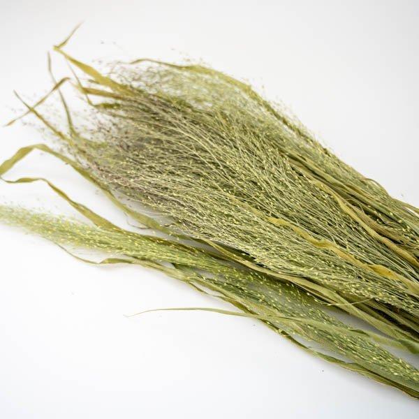 長さ：約75cm前後　※ボリューム感は写真をご覧下さい素材：スモークグラス【注意事項】天然素材を使用しているため、サイズや色に多少のばらつきがあります天然素材のため、写真と全く同じもののお届けではなく、ドライフラワーの特性によりポロポロ落ち...