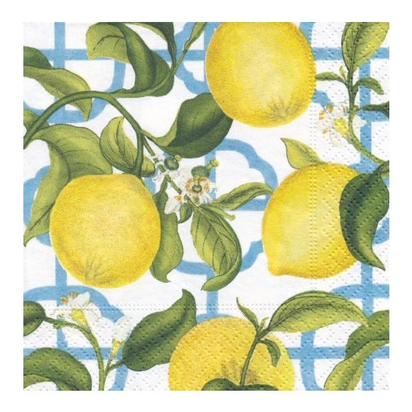 『商品情報』★CORAL BLUEGREEN(L)★サイズ：・広げた時…約33cm×約33cm・4つ折り時…約16.5cm×約16.5cm素材：パルプ（3枚重ね）枚数：10枚『商品紹介』紙製のナプキンです。パーティーやちょっとした軽食など、...