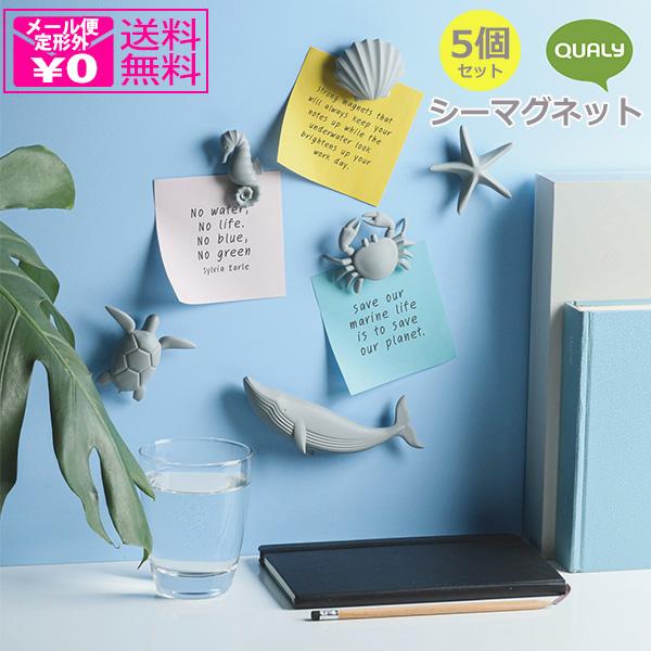 香港 ShellieMay マグネット 2個セット 未使用 定形外送料無料 Qualy シーマグネット 5個セット 磁石 マグネット
