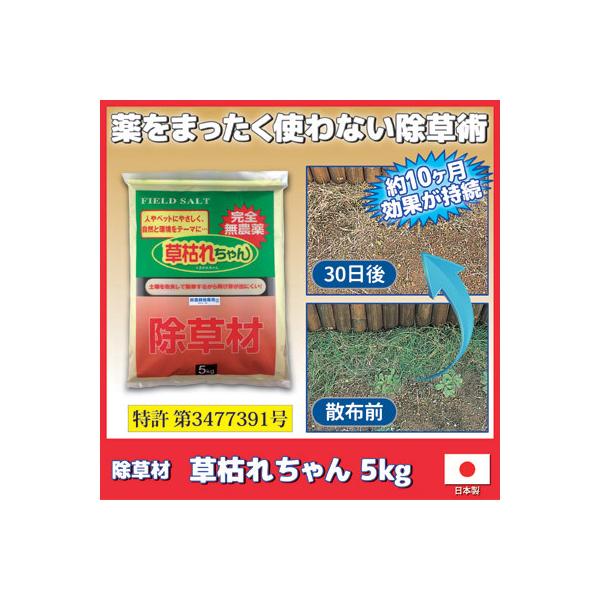  S _  ͂ꂿ 5kg G΍    S q ybg  L Q   G {