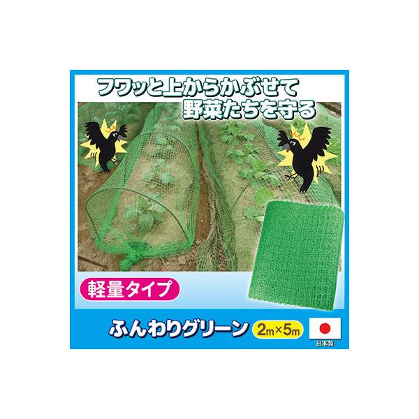 悯lbg ӂO[ 悯 JX hlbg  ƒ؉  ʎ K[fjO S~u x_ ΍ |pi 