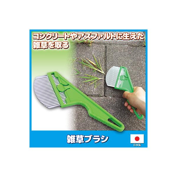 雑草ブラシ　雑草取り 道具 雑草対策 雑草抜き 草取り 掃除 除草 庭 コンクリート 駐車場 掃除グッズ 用品 メール便 送料無料