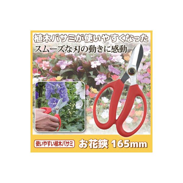 Ԑ؂nT~ g₷A؃oT~  165mm Ԃ΂  Ԑ؂ ~ }  t[AW ؓ | [ 