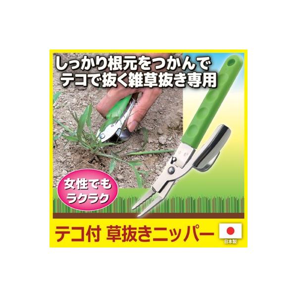 GƂ  eRt jbp[ G΍    |pi  a|  ԏ   K[W O\ K