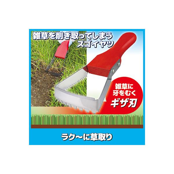 L N`ɑ SV-6971 G ΍   ނ  ԑ| RN[g   a { 