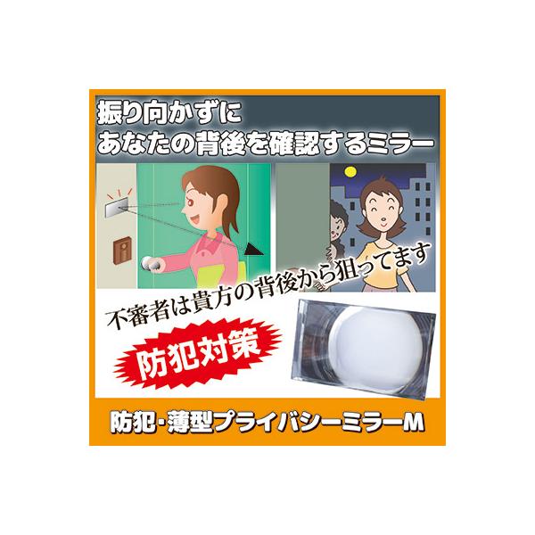 防犯ミラー 安全ミラー 防犯 薄型 プライバシーミラーM N-1133 玄関 店舗 入り口 ストーカー対策 万引き防止 鏡 広角 メール便 送料無料