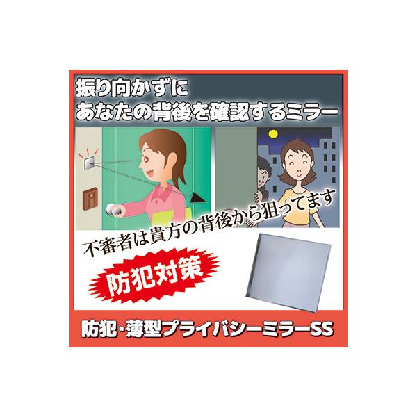 防犯ミラー 安全ミラー 防犯 薄型 プライバシーミラーSS N-1132 玄関 店舗 入り口 ストーカー対策 万引き防止 鏡 広角 メール便 送料無料
