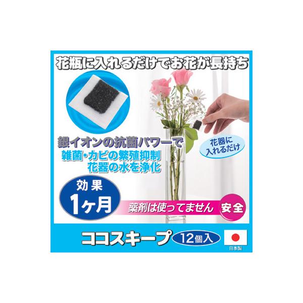 ؂  RRXL[v 12 ؉Ԓ   u[P ԑ h hJr  { [J[c SgE [ 