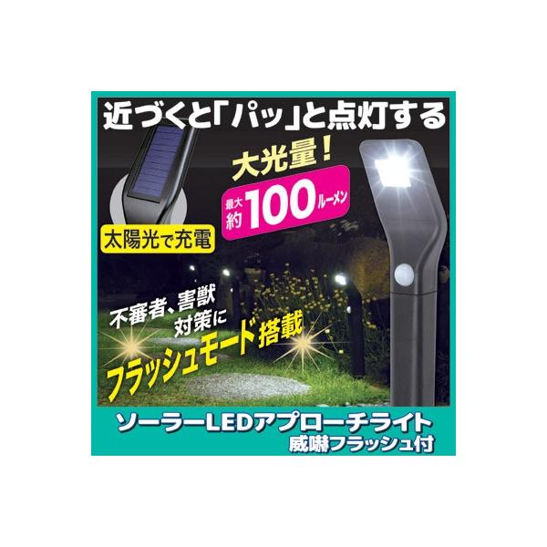 \[[ led Av[`Cg ߍ ЊdtbVt lZT[ Cg O h OƖ K[fCg h 뉀  t