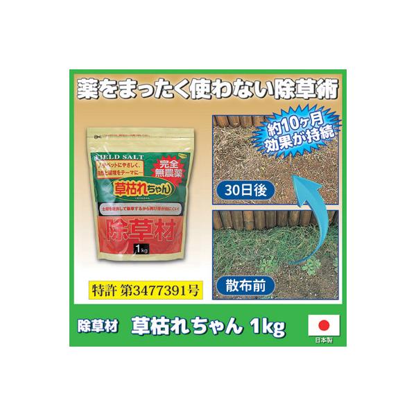除草剤 無農薬 安全 除草材 草枯れちゃん 1kg 除草 雑草 雑草駆除 農耕地 墓地 :877364:Vie Shop 通販 草枯れちゃん 1kg 安全無農薬除草剤