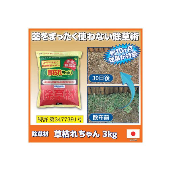  S _  ͂ꂿ 3kg G΍    S q ybg  L Q   G {