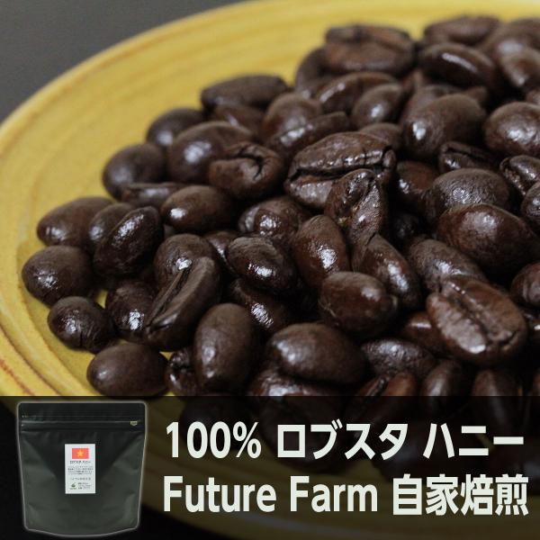 爆安!!【コーヒー生豆】ベトナム/ハニープロセス/ロブスタ8kg　 ※送料無料 爆安!!【コーヒー生豆】ベトナム/ハニープロセス/ロブスタ8kg