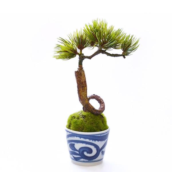 フェイクグリーン 松 吹き流しs そばちょこ 波唐草 観葉植物 Cupbon カップボン 和 おしゃれ 盆栽 ミニ 新作 人気 造花 卓上 ギフト インテリア