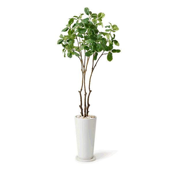 フェイクグリーン 観葉植物 マグノリアリーフ スリムプランター おしゃれ インテリア 鉢 室内 枝物 造花 皿付 プレゼント お祝い 春 新生活 Prgr 05 Greenpark Viewgarden 通販 Yahoo ショッピング
