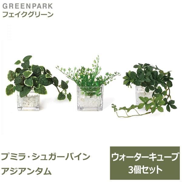 フェイクグリーン ミニ 観葉植物 造花 プミラ シュガーバイン アジアンタム ウォーターキューブ 3個セット 台所 キッチン 洗面所 トイレ Greenpark Prgr 1304 Viewgarden 通販 Yahoo ショッピング