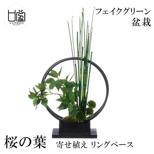 盆栽 桜の葉 トクサ マリモ 寄せ植え リングベース S フェイクグリーン