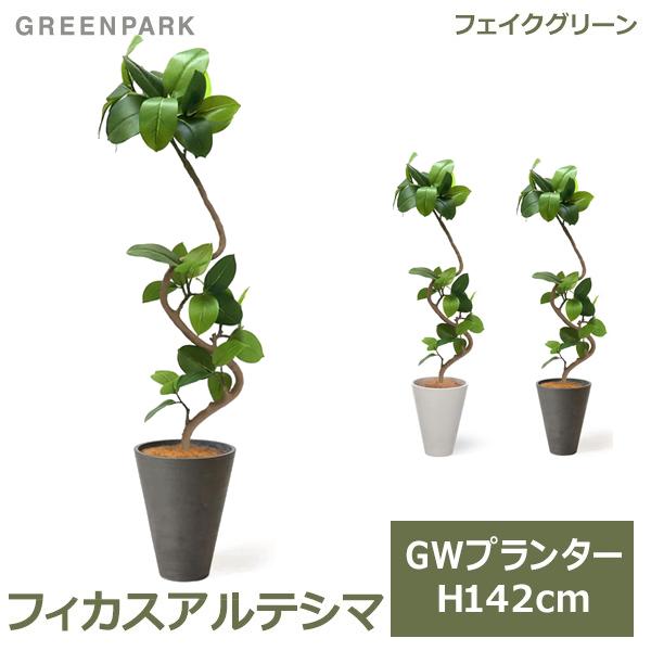 観葉植物 フィカス アルテシマ 135cm