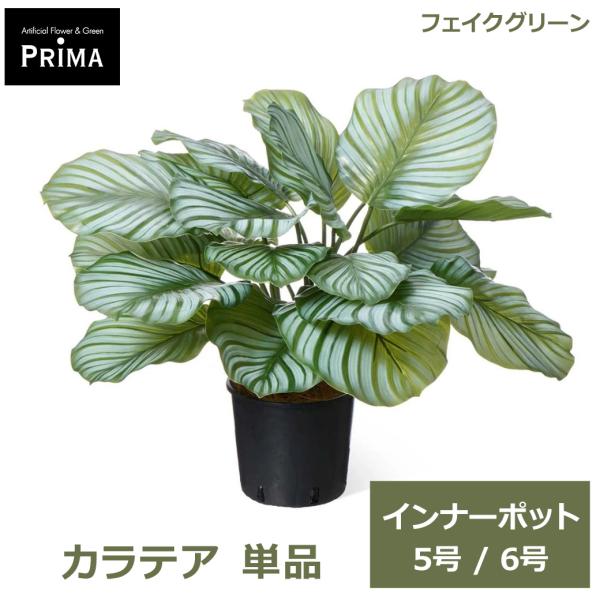 フェイクグリーン 観葉植物 人工観葉植物 カラテア インナーポット H50cm 5号 6号 単品 鉢にセットするだけ グリーン 水やり不要 植物 葉 PRGR-13P GREENPARK 人