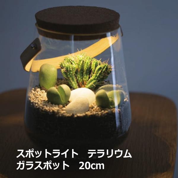 テラリウム ケース ガラス ポット スポットライト ハンドル付 cm 苔 多肉 瓶 電気 コケリウム 容器 観葉植物 コケ 多肉植物 寄せ植え シンプル ナチュラル Viewgarden 通販 Yahoo ショッピング