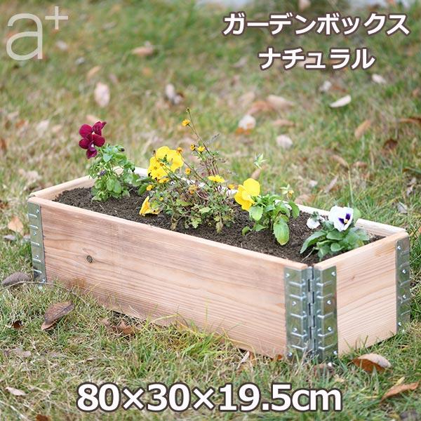 ジャンクガーデンプレート　クリームソーダ❁ プレス＆ゴー エレガントシリーズ 2025クリームソーダ