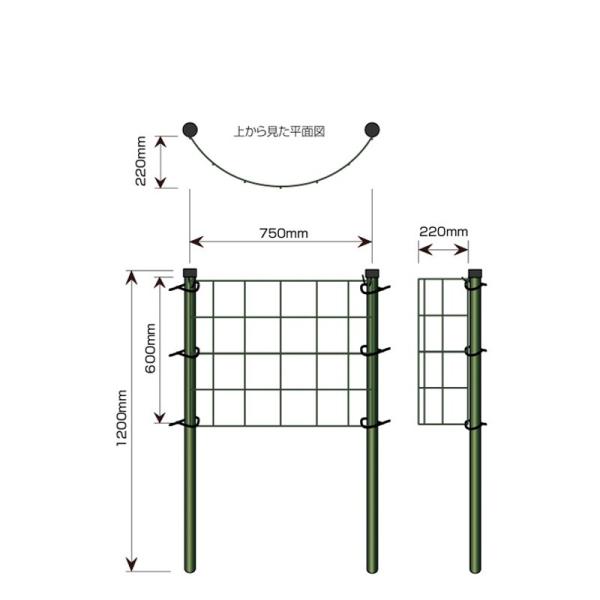 ツル性 植物 用 最新アイテム フェンス カラマリーナ アイアン リトルグリーンパネル 誘引パネル トレリス ハーフムーン