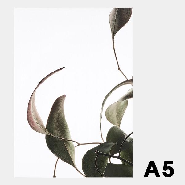 最終価格　actus ポスター Paper Collective 北欧 ikea Paper Collective ポスター アートポスター おしゃれ 北欧 北欧