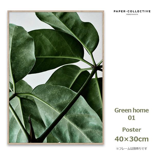 ポスター Green Home 01 30x40cm ペーパーコレクティブ 北欧 インテリア アート 植物 デザイン 自然 おしゃれ ナチュラル 葉 グリーン Viewgarden 通販 Yahoo ショッピング