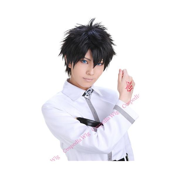 Fate Grand Order 男性主人公 風 ウィッグ コスプレウィッグ Fate Grand Order 男性主人公 風 ウィッグ コスプレウィッグ